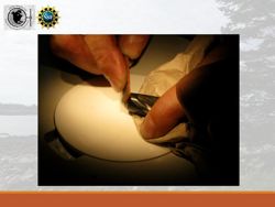 676582f3211517.64282001.pdf page 4