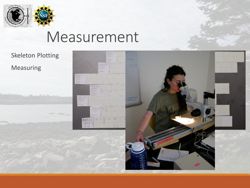 676582f3211517.64282001.pdf page 14