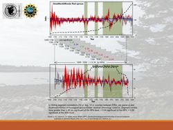 676582f3211517.64282001.pdf page 19