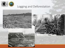 676582f3211517.64282001.pdf page 24