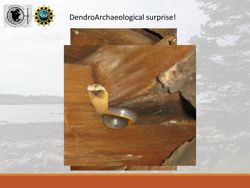 676582f3211517.64282001.pdf page 28