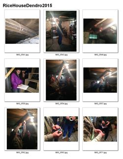 676582f7221157.21269240.pdf page 1