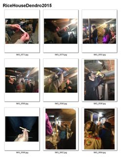 676582f7221157.21269240.pdf page 2