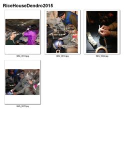 676582f7221157.21269240.pdf page 3