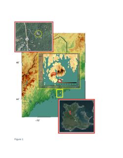 676582f8258554.06472618.pdf page 15