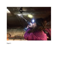 676582f8258554.06472618.pdf page 17