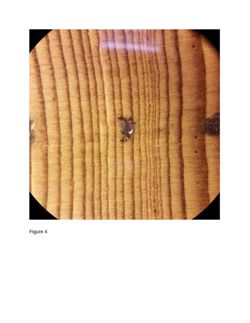 676582f8258554.06472618.pdf page 18