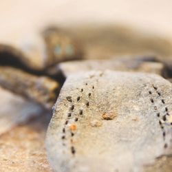 676582f91d4405.95748682.pdf page 1