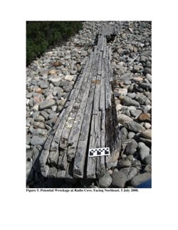 6765872a2a9d17.64915082.pdf page 17