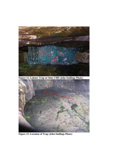 6765872a2a9d17.64915082.pdf page 55