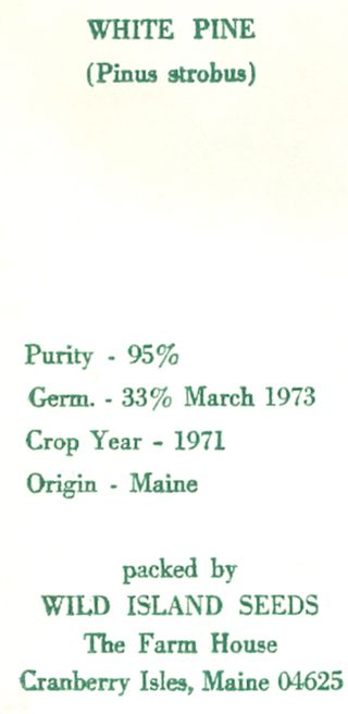 Polly Storey Collection- Wild Island Seeds