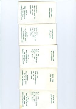 676593c1ce7462.53348167.pdf page 2