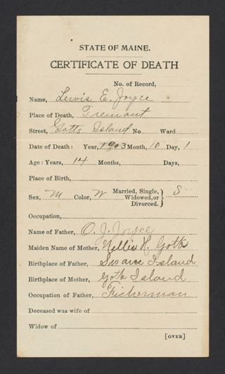 Lewis E. Joyce Death Certificate, October 1, 1903