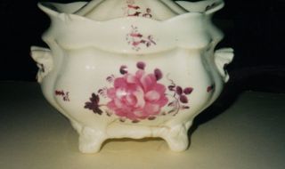 Sugar Bowl