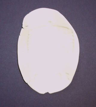 Imprint of Sound School House Bell Mark