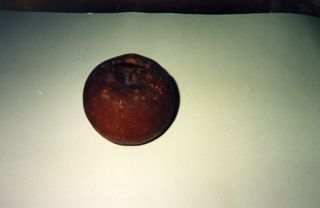 Apple Bank