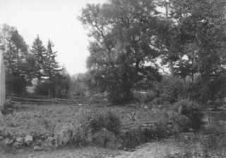 On Somes Stream, 1894