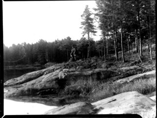 Ledge on Sheep Island