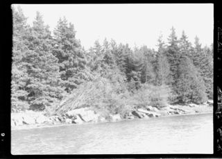 Sheep Island