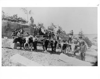 Quarry workers and Oxen, Hall Quarry