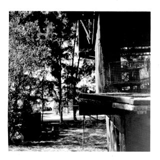 Parakeet House