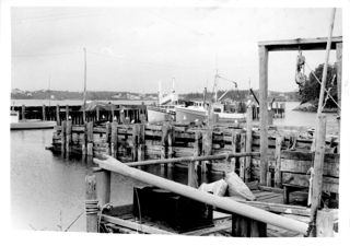 Campobello