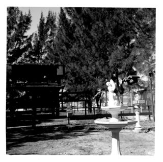 Bird house and fountain