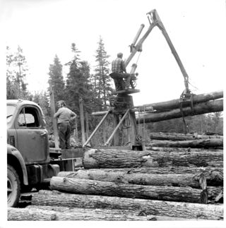 Piling Logs