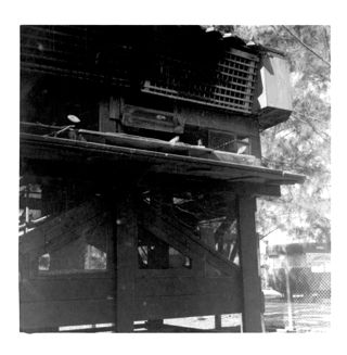 Parakeet House