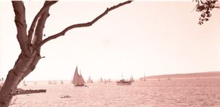 Northeast Harbor Fleet