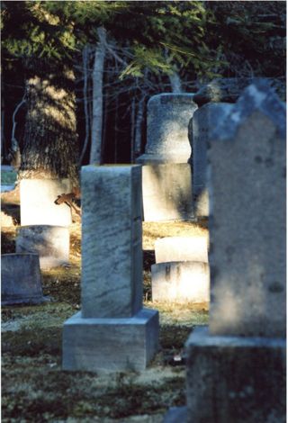 Brookside Cemetery Tombstones