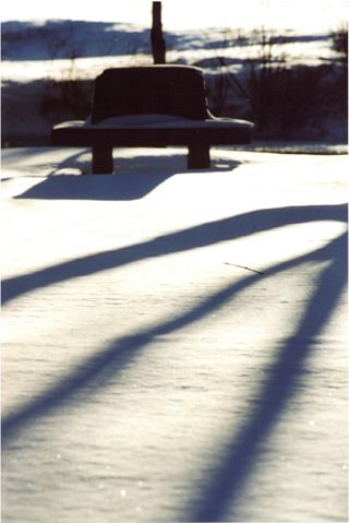 Memorial Bench in Snow