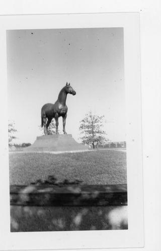 B&W photo of a horse statue taken from the front