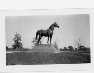 B&W photo of a horse statue taken from the side