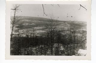 Hillside in winter