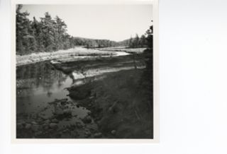 Babson Creek Todal Estuary