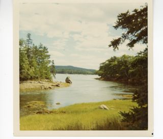 Tidal esturay