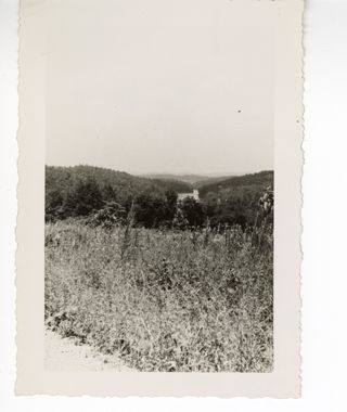 Looking accross a field