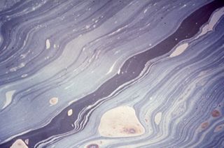 Oil and the Maine Coast Sierra Club Side Show