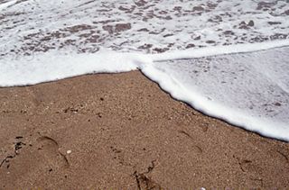 Waves on beach