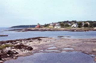Houses along the shore