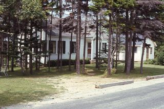 White house in the pines.