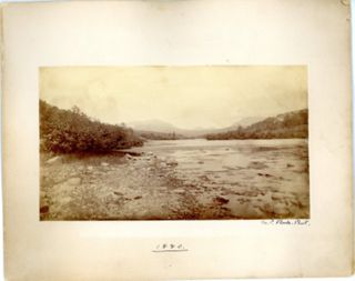 The Bubbles from Long Pond