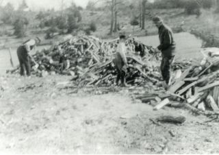 Jones Tracy, Ralph Tracy, Bloomfield Richardson