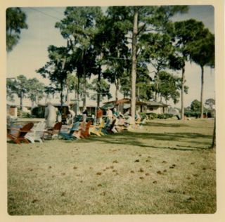 Lawn, Lawn Chairs and Houses