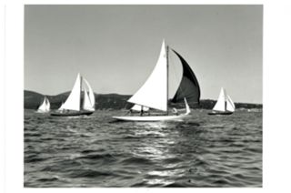 Unknown sailboard, Y series Ballard.