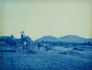Haying on Beech Hill