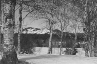 Beech Hill