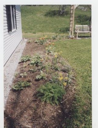 MDI Historical Society Garden