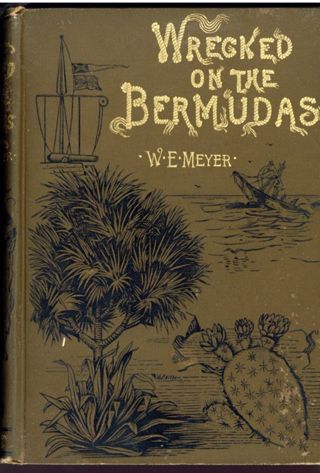 Wrecked on the Bermudas: the thrilling adventures of three boys. A true story of the present age.
